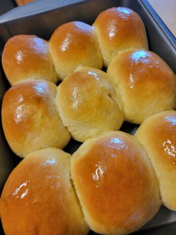 Dinner Rolls