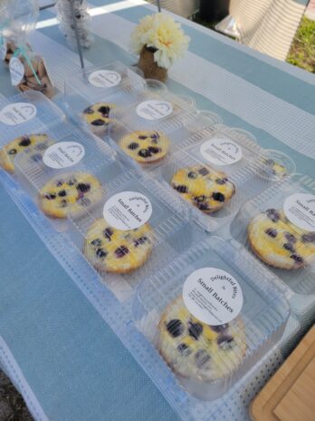 Blueberry Ricotta Tart